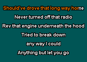 Should've drove that long way home
Never turned off that radio
Rev that engine underneath the hood
Tried to break down
any way I could

Anything but let you go