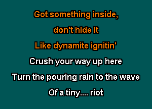 Got something inside,
don't hide it

Like dynamite ignitin'

Crush your way up here

Turn the pouring rain to the wave

Of a tiny.... riot