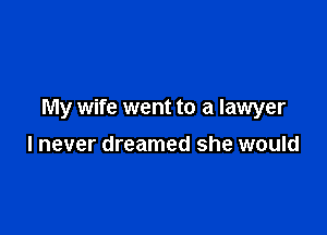 My wife went to a lawyer

I never dreamed she would