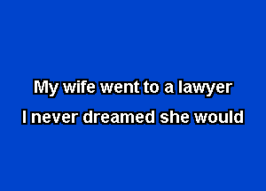 My wife went to a lawyer

I never dreamed she would