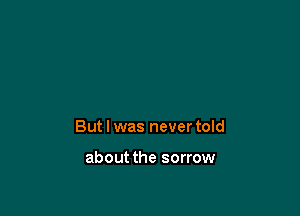 But I was never told

about the sorrow