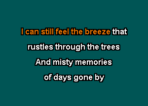 I can still feel the breeze that

rustles through the trees

And misty memories

of days gone by