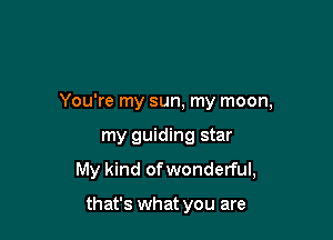 You're my sun, my moon,

my guiding star
My kind of wonderful,

that's what you are