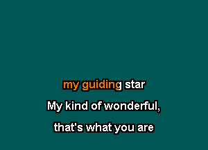 my guiding star

My kind of wonderful,

that's what you are