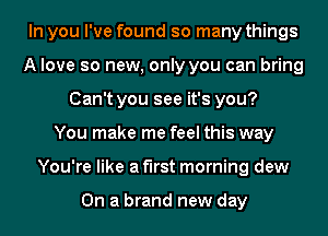 In you I've found so many things
A love so new, only you can bring
Can't you see it's you?

You make me feel this way
You're like a first morning dew

On a brand new day