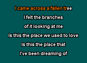 I came across a fallen tree
lfelt the branches
of it looking at me
Is this the place we used to love

Is this the place that

I've been dreaming of