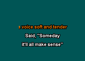 a voice soft and tender

Said, Someday

it'll all make sense