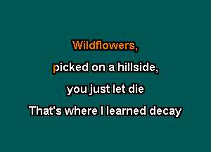 Wildflowers,
picked on a hillside,

youjust let die

That's where I learned decay
