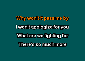 Why won,t it pass me by

I won't apologize for you

What are we fighting for

There s so much more