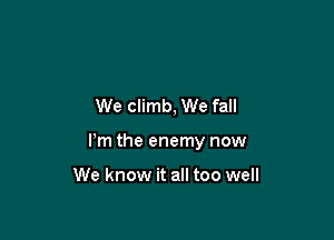 We climb, We fall

Pm the enemy now

We know it all too well