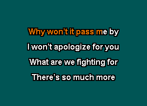 Why won,t it pass me by

I won't apologize for you

What are we fighting for

There s so much more