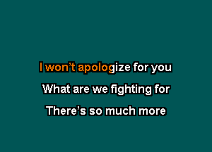 I won't apologize for you

What are we fighting for

There s so much more