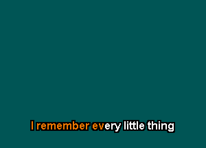 I remember every little thing