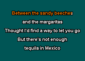 Between the sandy beeches

and the margaritas

Thought I'd fund a way to let you go

But there's not enough

tequila in Mexico