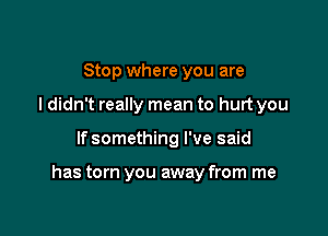 Stop where you are
I didn't really mean to hurt you

If something I've said

has torn you away from me