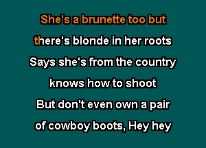 She's a brunette too but
there's blonde in her roots
Says she's from the country

knows how to shoot

But don't even own a pair

of cowboy boots, Hey hey I