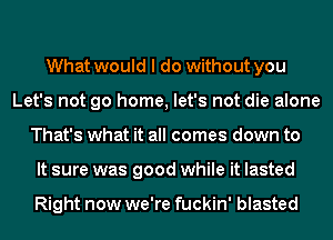 What would I do without you
Let's not go home, let's not die alone
That's what it all comes down to
It sure was good while it lasted

Right now we're fuckin' blasted