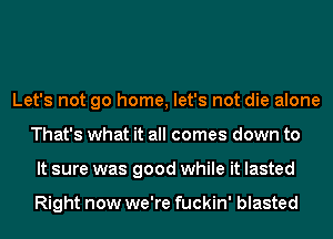 Let's not go home, let's not die alone
That's what it all comes down to
It sure was good while it lasted

Right now we're fuckin' blasted