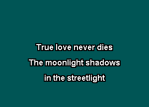 True love never dies

The moonlight shadows

in the streetlight