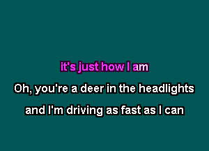 it's just howl am

Oh, you're a deer in the headlights

and I'm driving as fast as I can