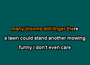 many blooms still linger there

a lawn could stand another mowing

funnyi don't even care