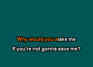 Why would you wake me

Ifyou're not gonna save me?
