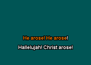 He arose! He arose!

Hallelujah! Christ arose!