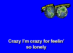Crazy Pm crazy for feelin,
so lonely