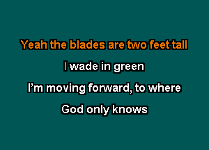 Yeah the blades are two feet tall

lwade in green

Pm moving forward, to where

God only knows