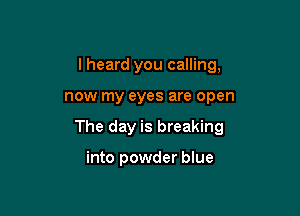I heard you calling,

now my eyes are open

The day is breaking

into powder blue