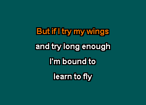 But ifl try my wings

and try long enough
I'm bound to

learn to fly