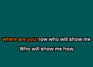 where are you now who will show me

Who will show me how