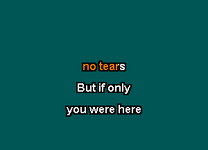no tears

But if only

you were here