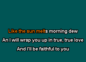 Like the sun melts morning dew

An I will wrap you up in true, true love

And I'll be faithful to you