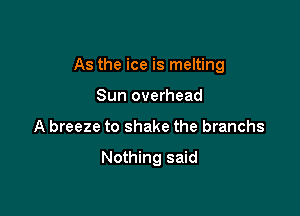 As the ice is melting
Sun overhead

A breeze to shake the branchs

Nothing said