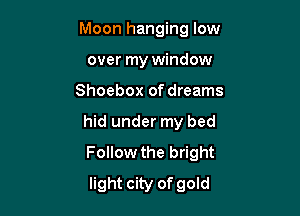 Moon hanging low
over my window

Shoebox of dreams

hid under my bed
Follow the bright
light city of gold