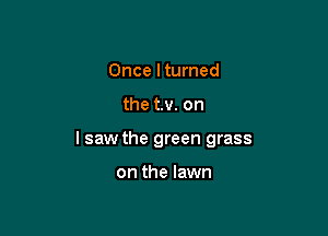 Once I turned

the t.v. on

I saw the green grass

on the lawn