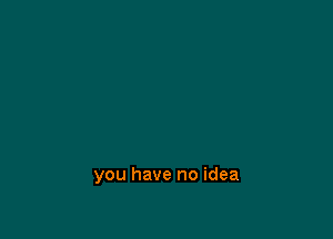 you have no idea