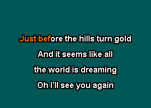 Just before the hills turn gold

And it seems like all

the world is dreaming

0h I'll see you again