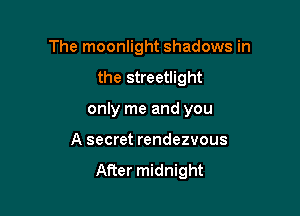 The moonlight shadows in

the streetlight

only me and you

A secret rendezvous

After midnight