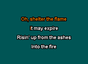 0h, shelter the flame

it may expire

Risin' up from the ashes

Into the fire