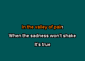 In the valley of pain

When the sadness won,t shake

It's true
