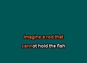 Imagine a rod that

cannot hold the fish