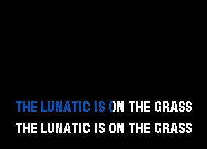 THE LUHATIC IS ON THE GRASS
THE LUHATIC IS ON THE GRASS