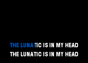 THE LUHMIC IS IN MY HEAD
THE LUHATIO IS IN MY HEAD