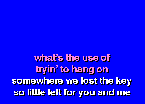 whafs the use of

trin to hang on
somewhere we lost the key
so little left for you and me