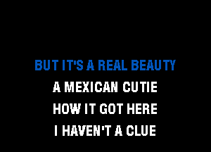 BUT IT'S A REAL BEAUTY

A MEXICAN CUTIE
HOW IT GOT HERE
I HAVEN'T A CLUE