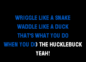 WRIGGLE LIKE A SHAKE
WADDLE LIKE A DUCK
THAT'S WHAT YOU DO

WHEN YOU DO THE HUCKLEBUCK
YEAH!