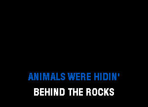 ANIMALS WERE HIDIH'
BEHIND THE ROCKS