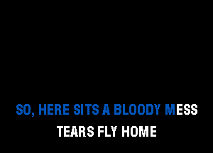 SO, HERE SITS A BLOODY MESS
TEARS FLY HOME